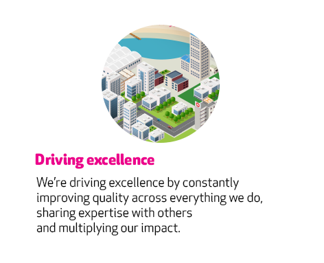 Driving Excellence