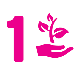 the environment icon
