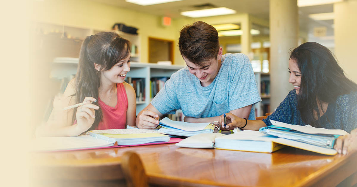 A group of students study together