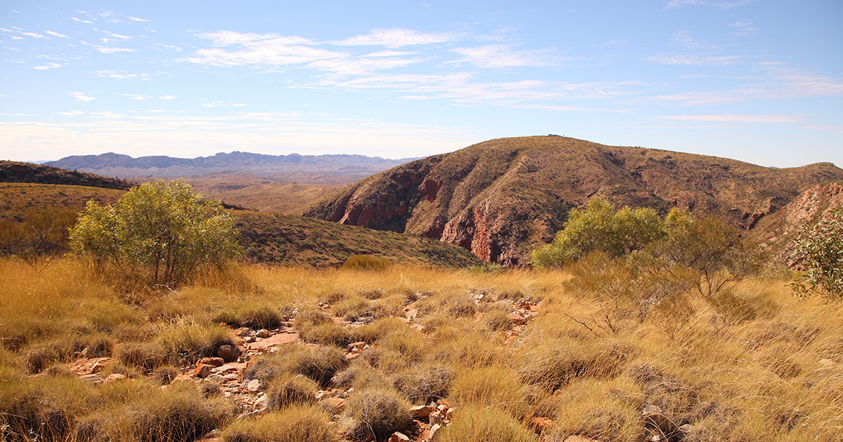 Larapinta